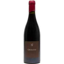 Domaine des Hauts-Baigneux Grolleau VDF Bio 2023