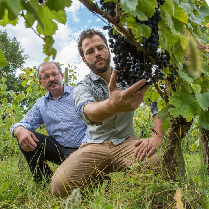 La Cuvée du Couvent - Madiran Bio 2020