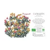 Pimpant - Côtes de Gascogne Rouge Bio 2023
