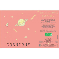 Cosmique - Côtes de Gascogne Blanc Bio 2023