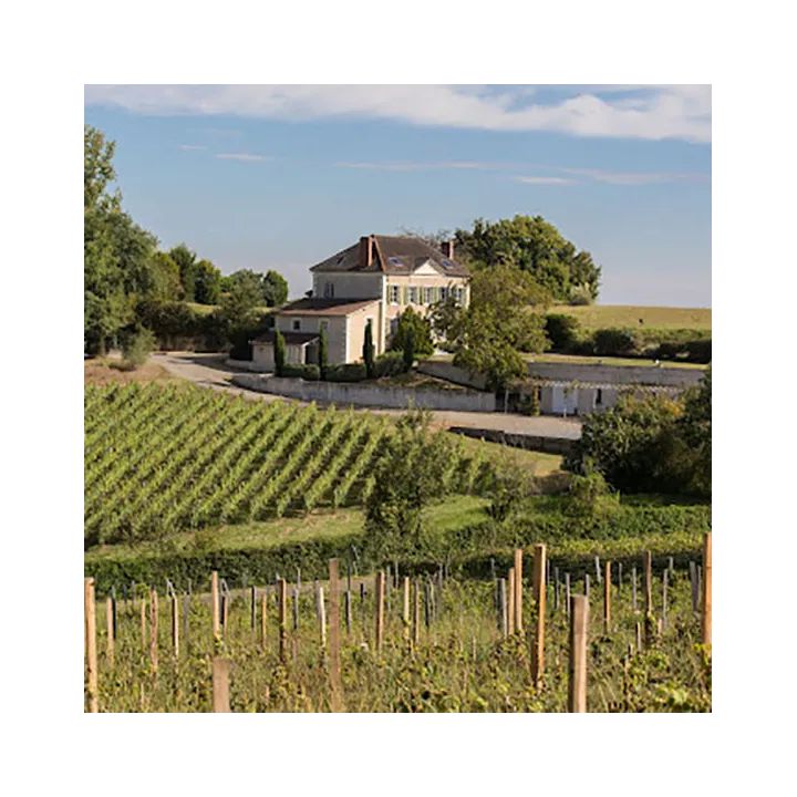 Cosmique - Côtes de Gascogne Blanc Bio 2023