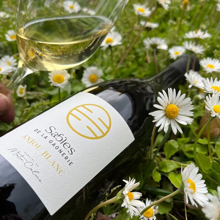Sables de la Gagnerie Anjou Blanc 2023