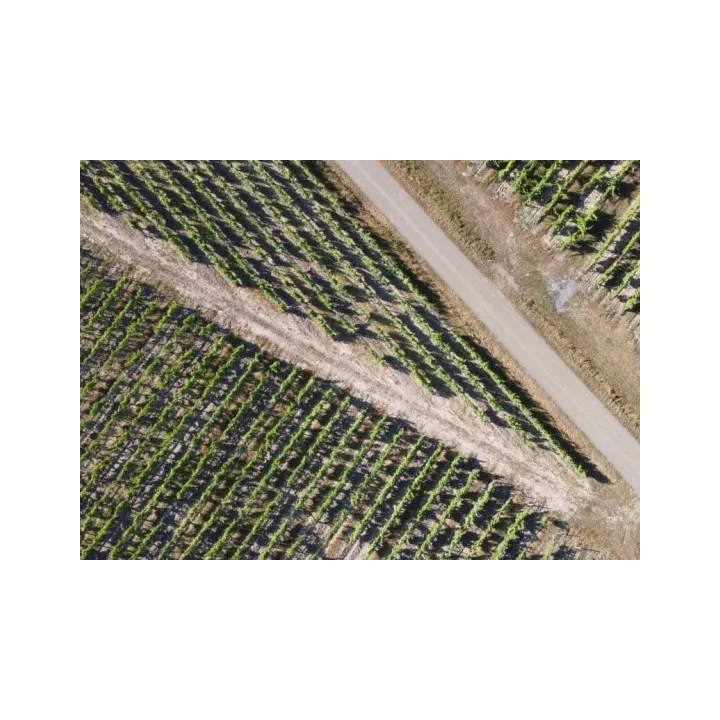 Rhyolites des Bonas - Anjou Villages Brissac 2022
