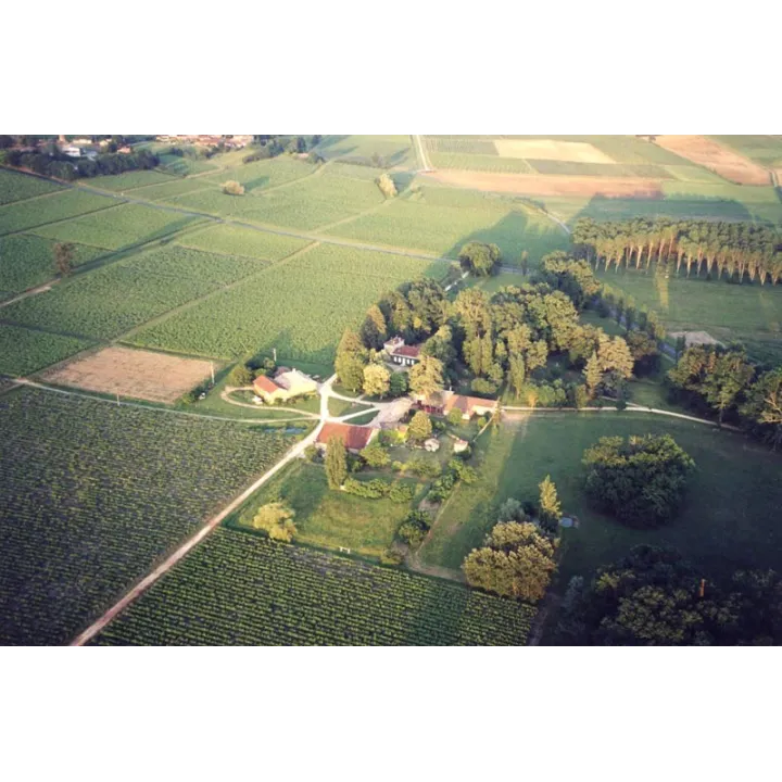 Château Martinon Entre Deux Mers 2024