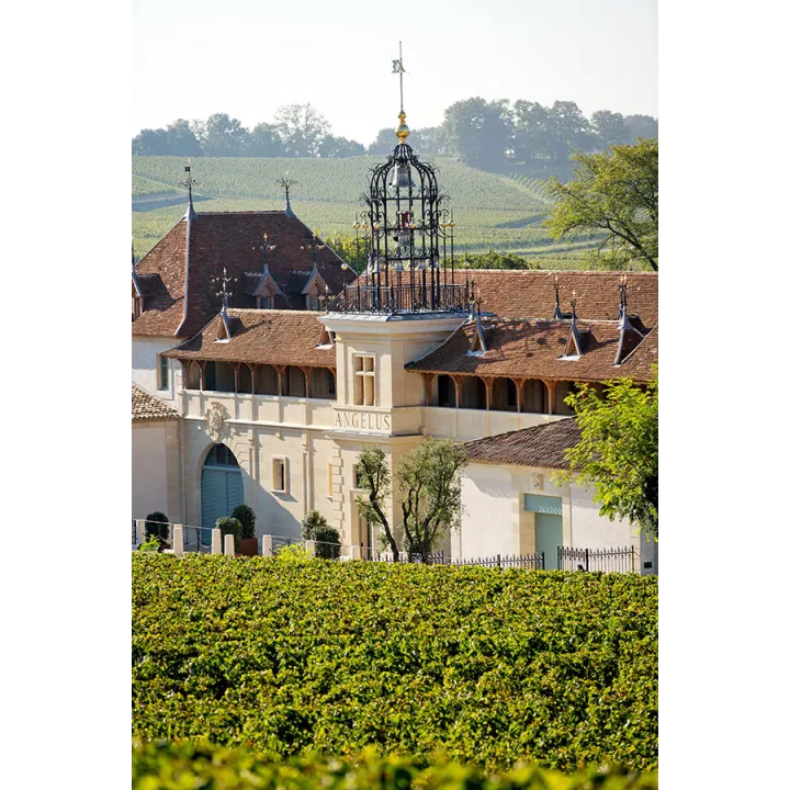 Tempo d'Angélus - Bordeaux 2023