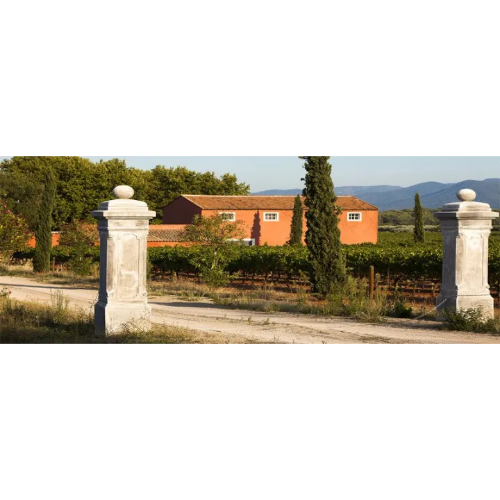 Douce Vie Tentation 2024 - Côtes de Provence Rosé