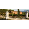 Douce Vie Tentation 2024 - Côtes de Provence Rosé