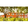 Douce Vie Tentation 2024 - Côtes de Provence Rosé