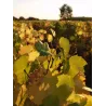 Coteaux du Layon "Clair de Lune" 2024