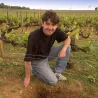 Coteaux Bourguignons Rouge 2023