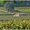 Charmeur Rosé Côtes de Provence 2024