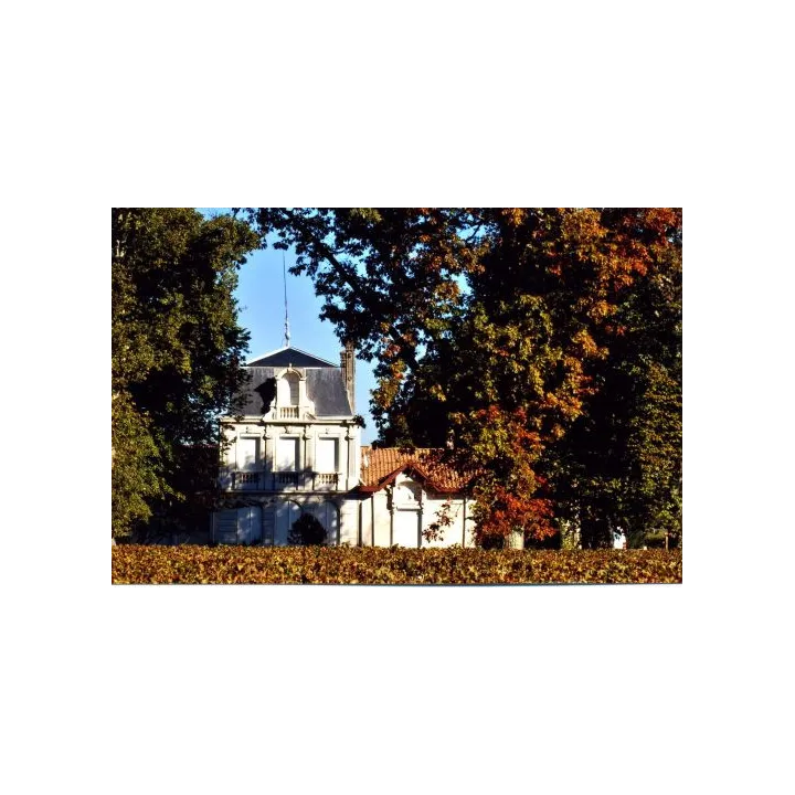 Château Grand Clapeau Olivier 2020