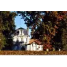 Château Grand Clapeau Olivier 2020