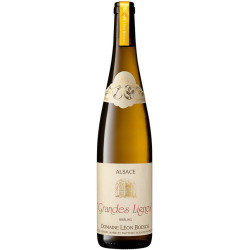 Riesling - "Les Grandes Lignes" Bio 2023
