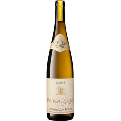 Sylvaner "Les Pierres Rouges" BIO 2023