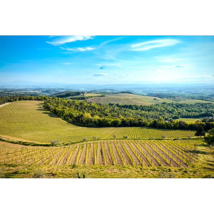 La Vigna - Chianti DOCG 2024