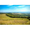 La Vigna - Chianti DOCG 2024
