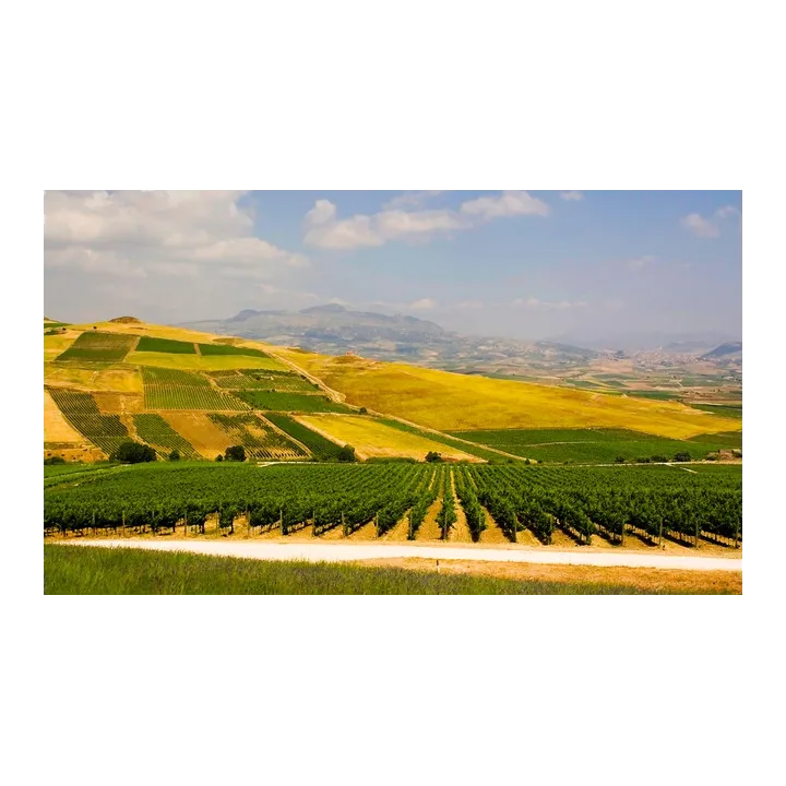 Torre Rracina - Nero d'Avola Sicilia DOC (leger. appassite) 2024