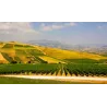 Torre Rracina - Nero d'Avola Sicilia DOC (leger. appassite) 2024
