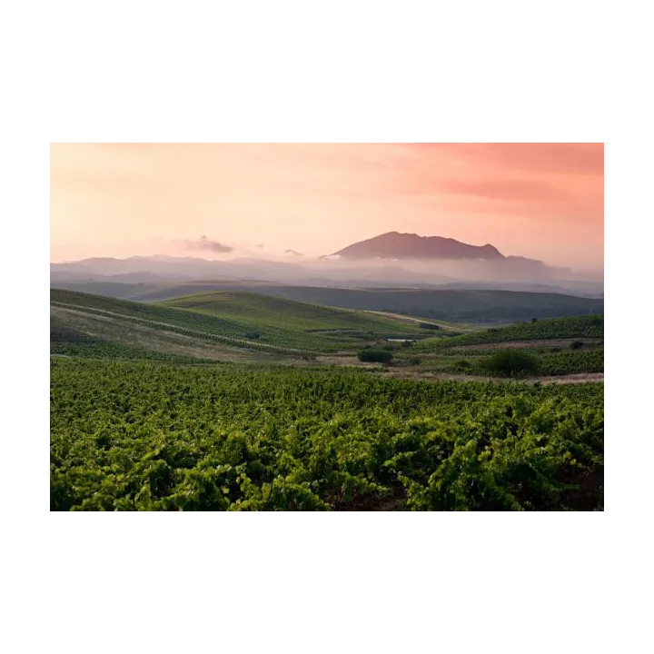 Torre Rracina - Nero d'Avola Sicilia DOC (leger. appassite) 2024
