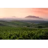 Torre Rracina - Nero d'Avola Sicilia DOC (leger. appassite) 2024