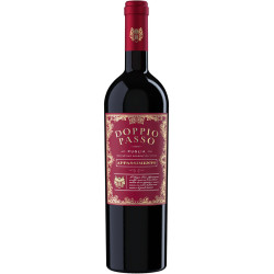 Doppio Passo Appassimento Rosso Puglia IGT 2024