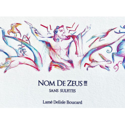 Nom de Zeus !!! IGP Val de Loire Bio (sans sulfite) 2024