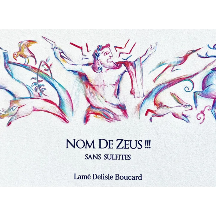 Nom de Zeus !!! IGP Val de Loire Bio (sans sulfite) 2024