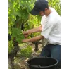 Cheverny Blanc Tradition 2024