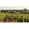Mas des Tannes Réserve Blanc BIO 2024