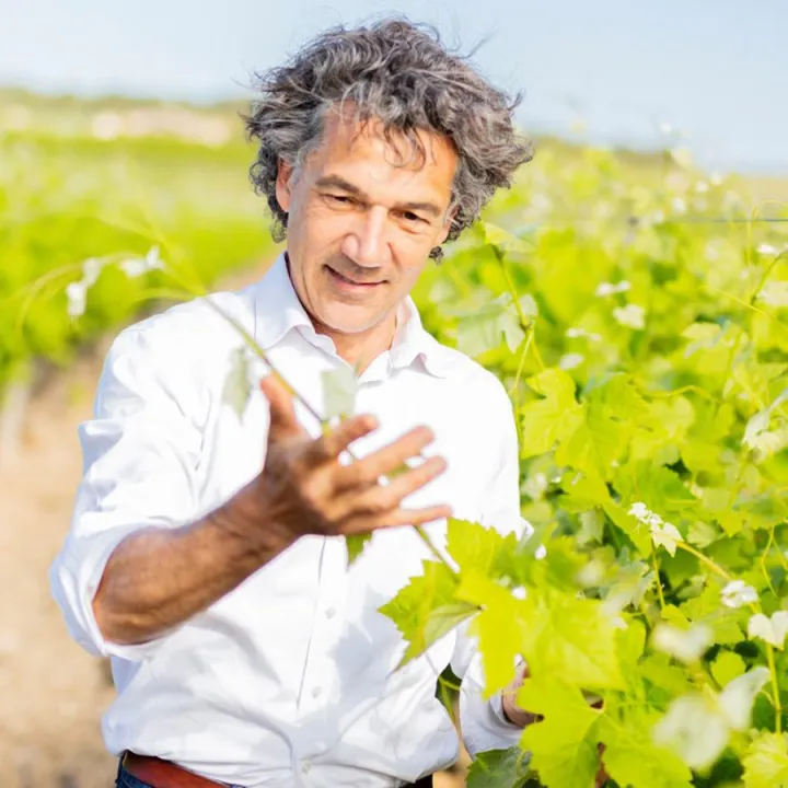 Paul Mas Viognier 2025