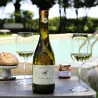 Paul Mas - Les Vignes de Nicole Chardonnay-Viognier 2025