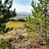 Clos de Maro - Chardonnay Limoux Vieilles Vignes Bio 2024