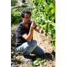 Clos de Maro - Pinot Noir Pays d'Oc Bio 2024