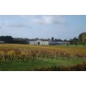 Château Lamothe-Vincent Réserve 2024