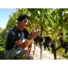 Château Lamothe-Vincent Réserve 2024