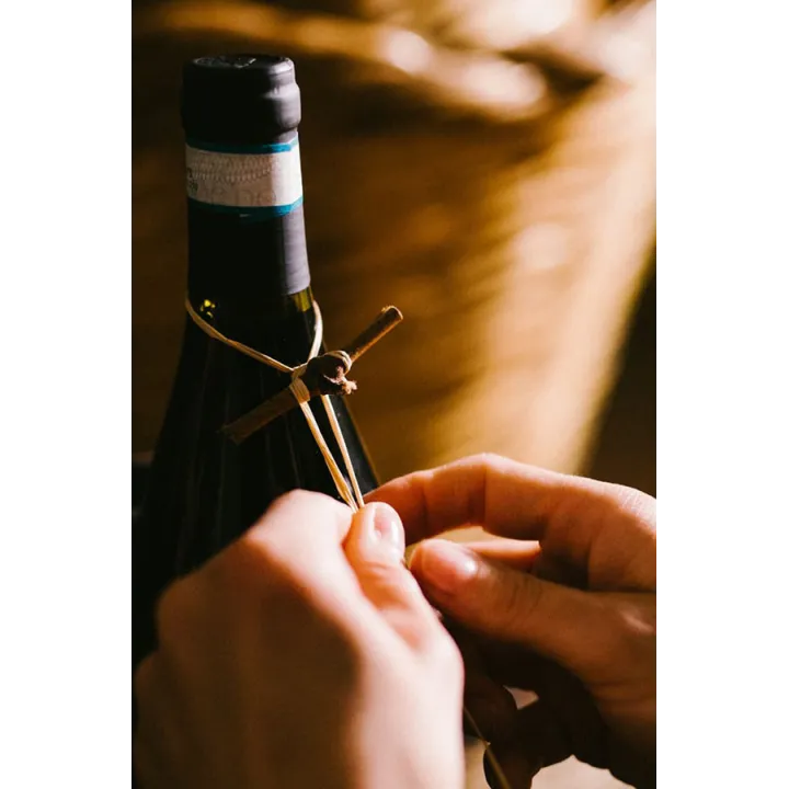 Tralceto Trebbiano d'Abruzzo DOC 2023