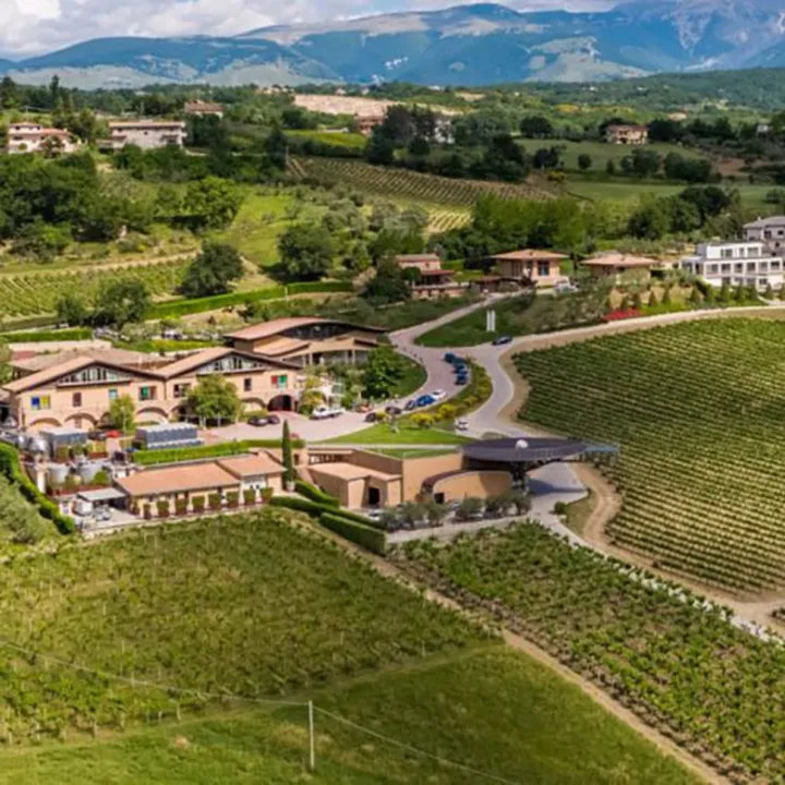 Tralceto Trebbiano d'Abruzzo DOC 2023