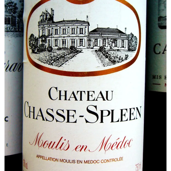 Château Chasse-Spleen 2016
