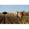 L'Esprit de Chevalier 2014 Magnum