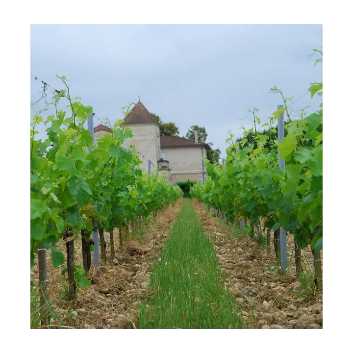 Château Clinet 2005