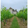 Château Clinet 2005