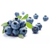 Nectar Myrtille Sauvage 20cl