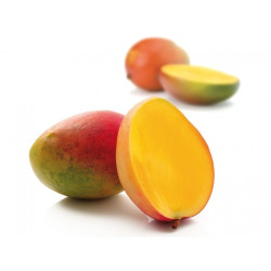 Nectar Mangue 20cl