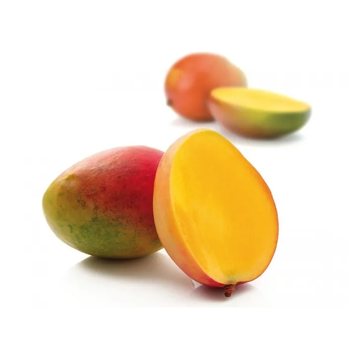 Nectar Mangue 20cl