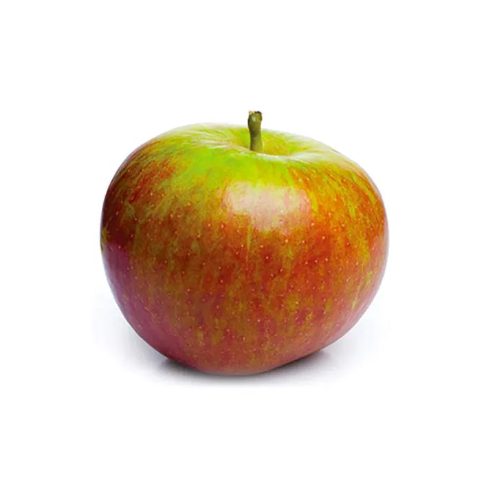 Jus de Pomme Cox 20cl