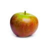 Jus de Pomme Cox 20cl
