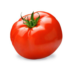 Jus de Tomate 20cl