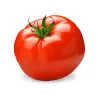 Jus de Tomate 20cl