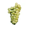 Jus Raisin Blanc Chardonnay 33cl